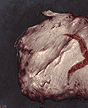 Rotten flesh