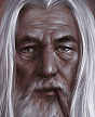 White Wizard