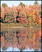 Fall lake